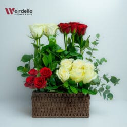 Velvet Contrast Basket Short Description