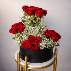 Red Velvet Box – 20 Roses
