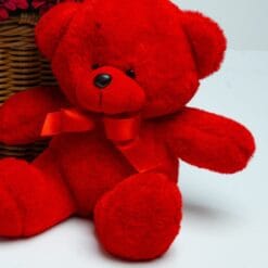 Red teddy