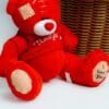 Red teddy  i love you
