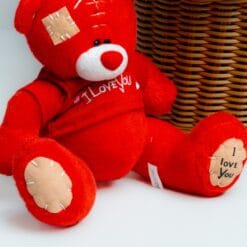 Red teddy  i love you