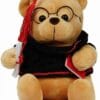 Graduation  teddy