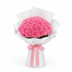 Pink Veil Arrangement